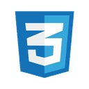 CSS Logo